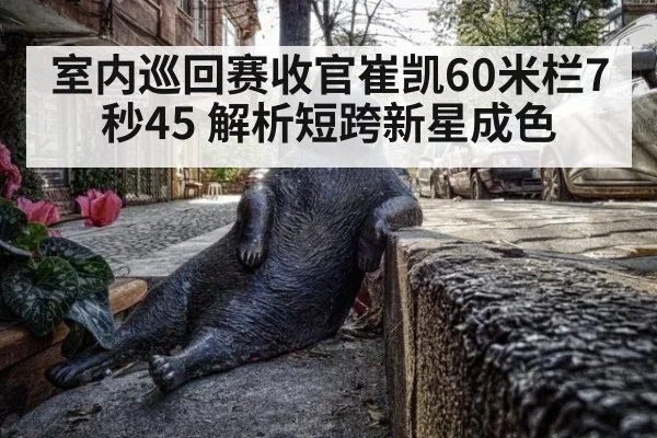 室内巡回赛收官崔凯60米栏7秒45 解析短跨新星成色