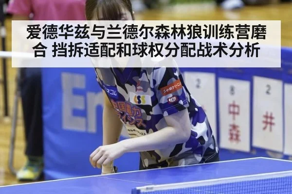 爱德华兹与兰德尔森林狼训练营磨合 挡拆适配和球权分配战术分析