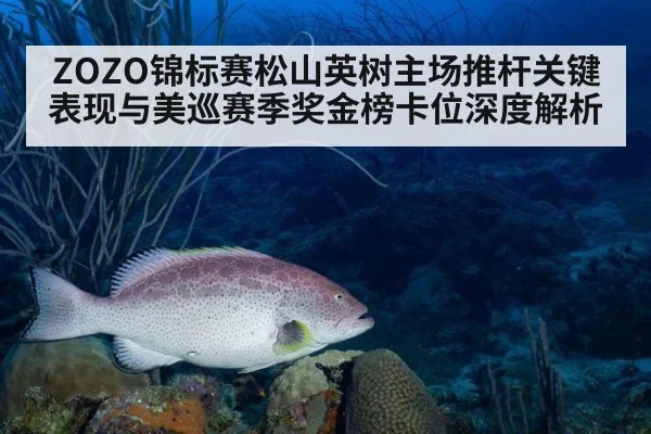 ZOZO锦标赛松山英树主场推杆关键表现与美巡赛季奖金榜卡位深度解析